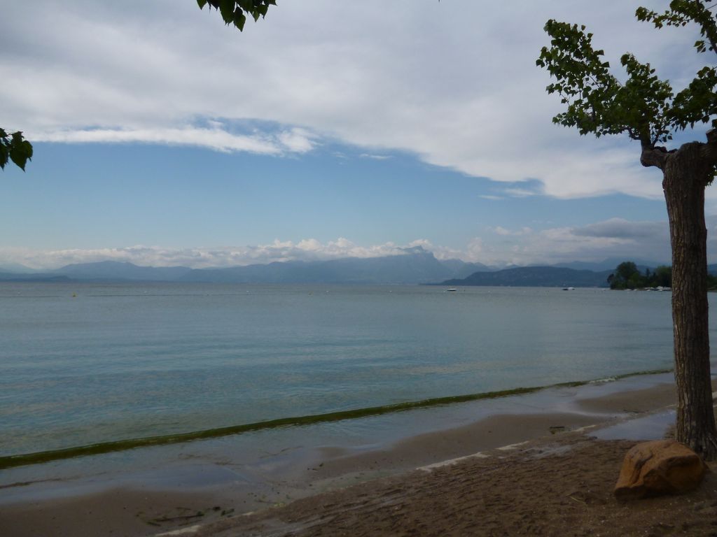 Lazise